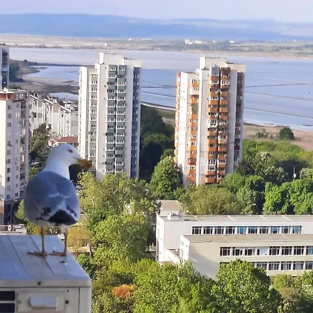 Appartement Seaview Serenity *